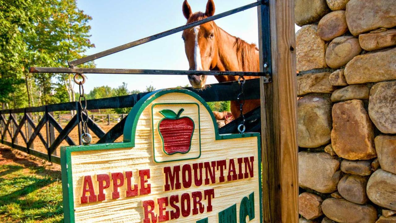 Holiday Inn Club Vacations Apple Mountain Resort At Clarkesville Zewnętrze zdjęcie